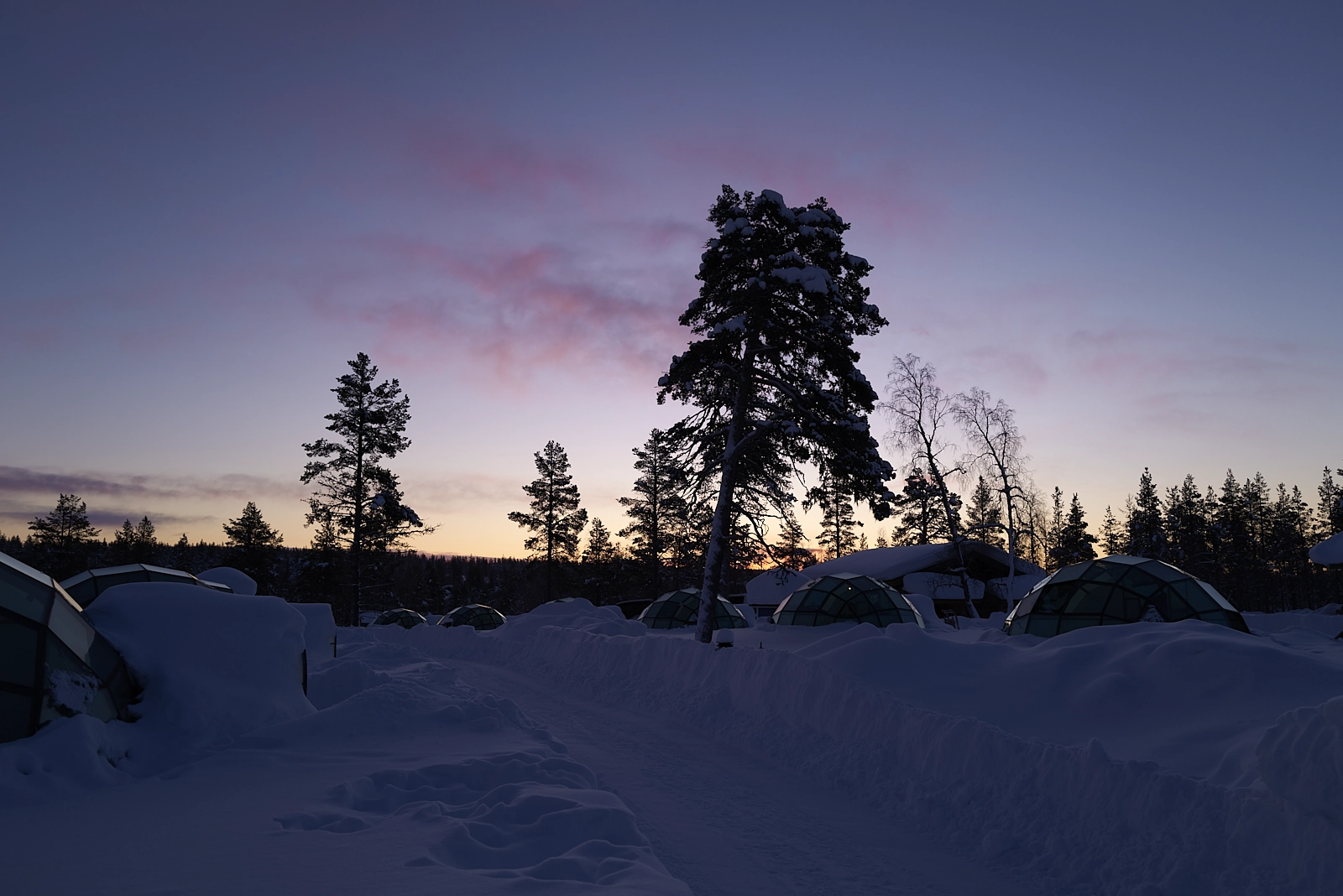 An igloo with nothern light